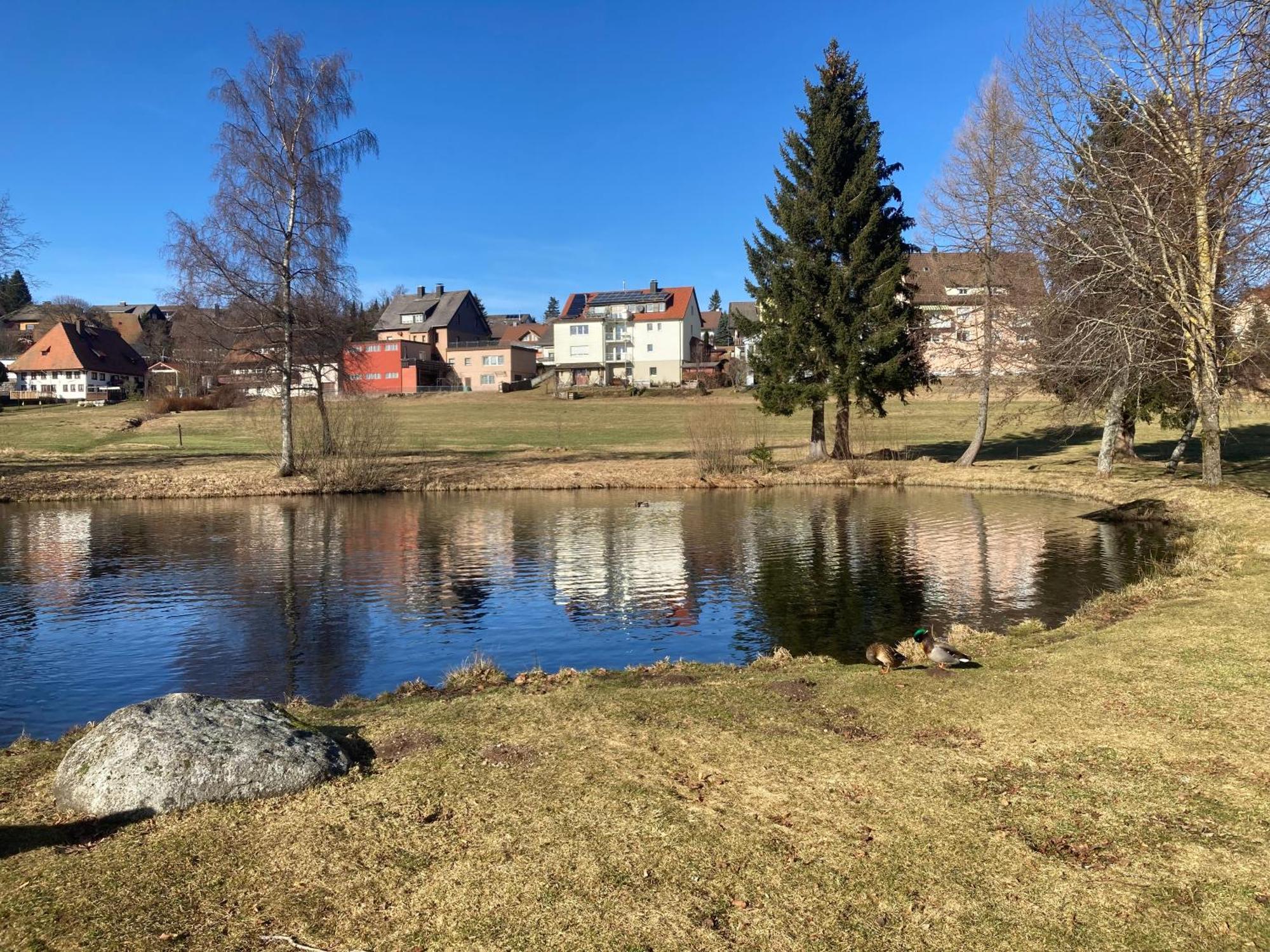 Apartment Henri Schönwalde Buitenkant foto